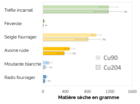 graph_cuivre