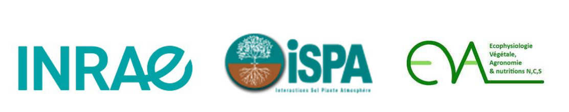 master_2_ispa_2024