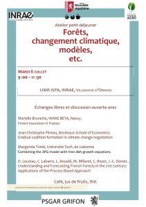 Flyer Denis Loustau